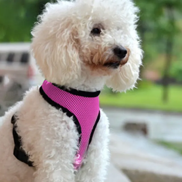 Abbigliamento gilet in rete imbracatura collare gatto cane imbracatura riflettente per allenamento (rosa scuro XS)