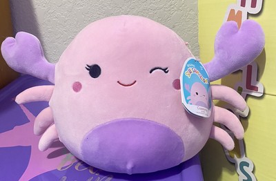 crab squish