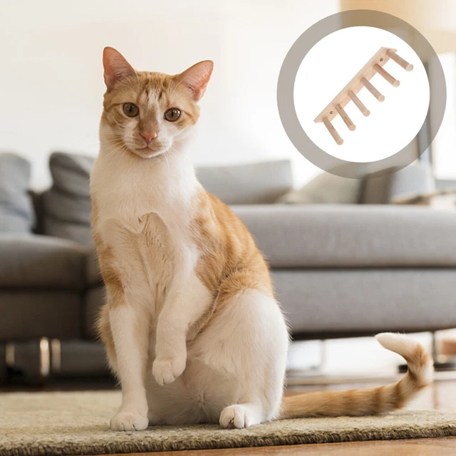Stampa Su Tela Con Gatto Colorato – Quadro Divertente Per Soggiorno O Camera Da Letto
