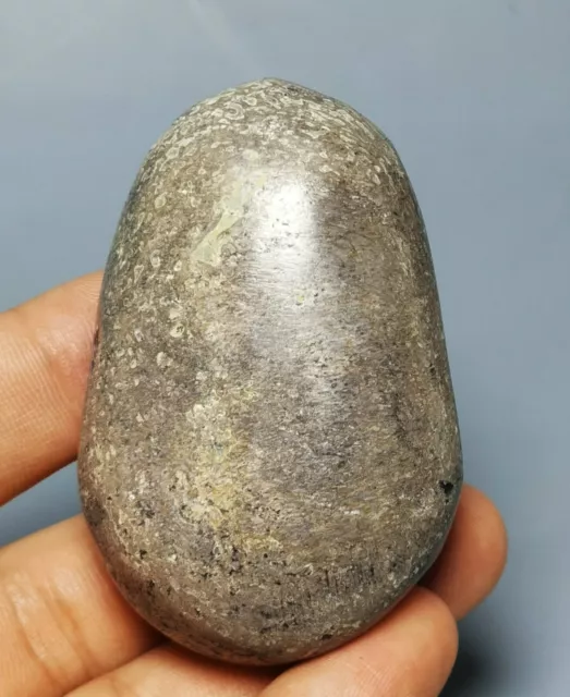 Polished dinosaur bone petrified agatized specimen Gem Stone Sphere Palm Healing