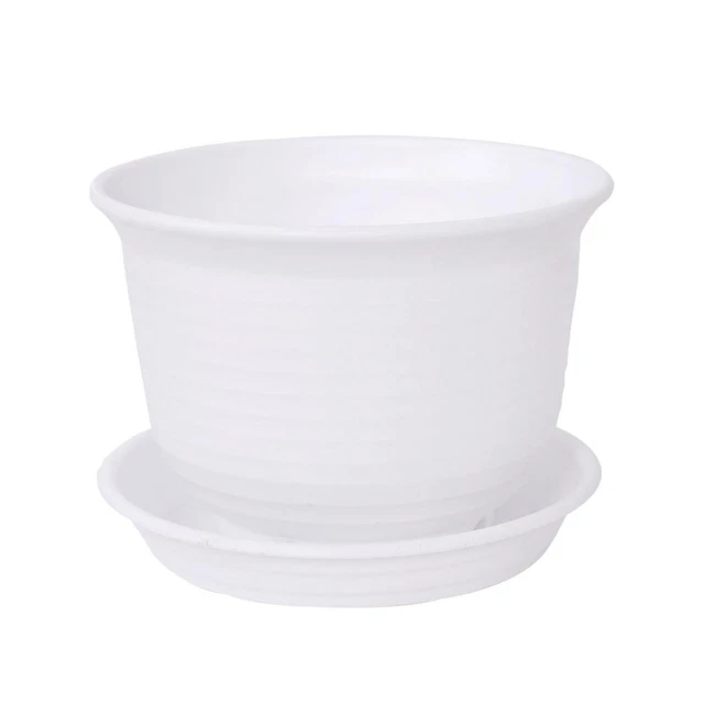 Semences plantes  cour plastique Pot fleur contenant 6,1' Dia