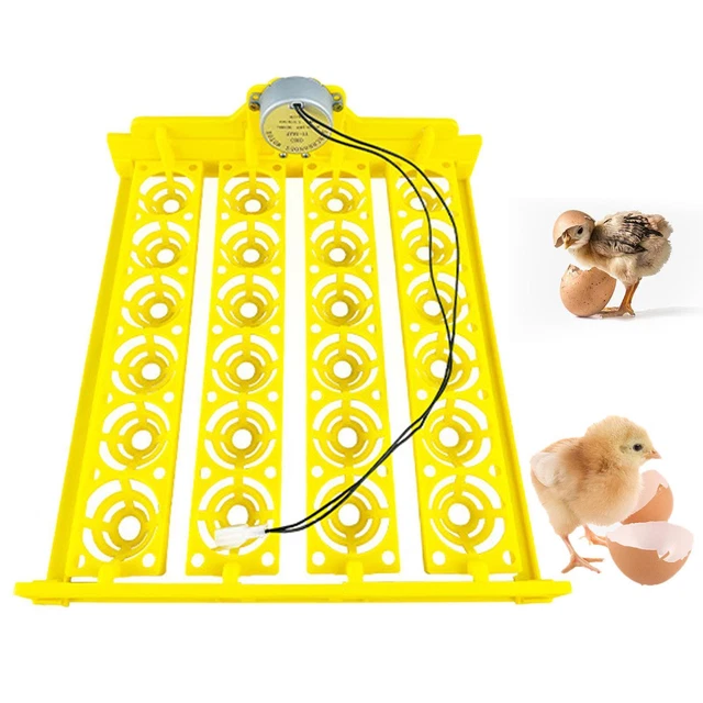 InSyoForeverEC Poussins Boîte D'élevage Chaleur Lampe | FindTheDeal