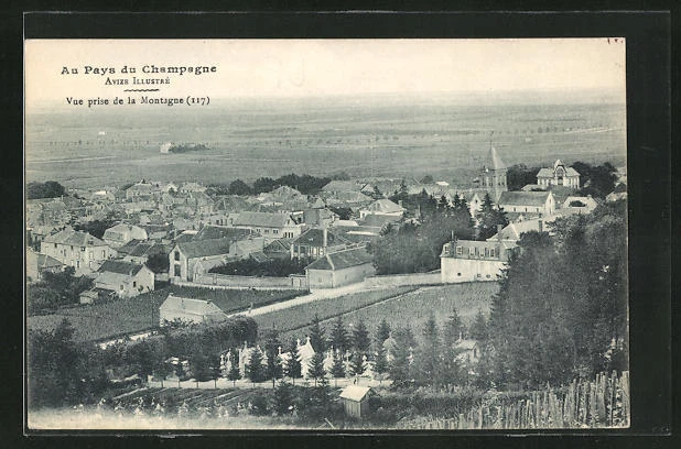 CPA Avize, Vue prise de la Montagne