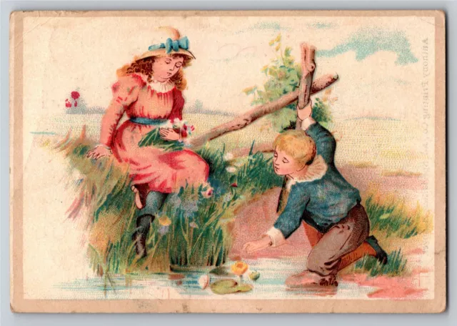 Emlet & Jenkins Hanover, PA Poultry Powder Victorian Trade Card Kids on Fence