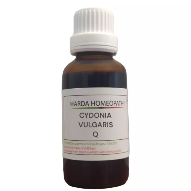Cydonia Vulgaris Q in 10 ml & 30 ml Homöopathie Mutter Tinktur Flüssigkeit