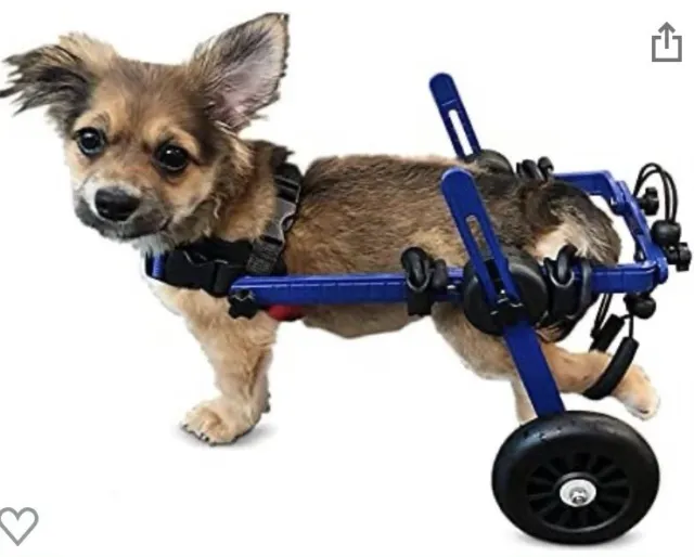 Walkin' Wheels Custom Dog Wheelchair (B2 Mini Medium) 4” Wheels