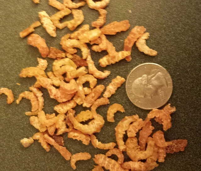 1 Pound Shrimp Goldfish Koi Cichlid Turtle Arowana Flowerhorn