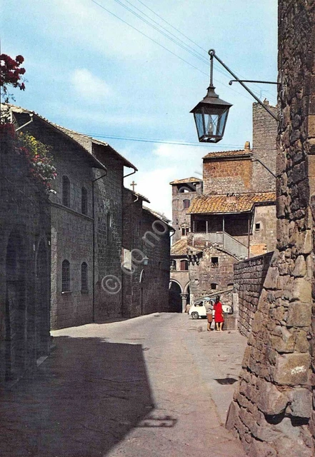 Cartolina Viterbo Quartiere San Pellegrino animato