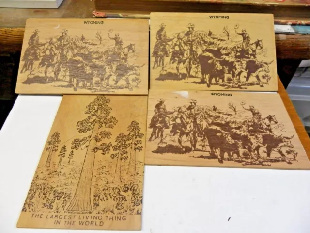 4 Vintage Wood Post Cards WYOMING, WYOMING, WYOMING, SEQUOIA BUTTON TREE