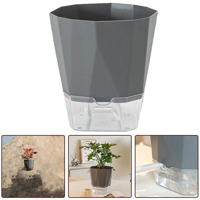 Bonsaï Chinois 5 Ans Avec Cascade Zen & Système Arrosage Facile - Plante Intérieur Relaxante