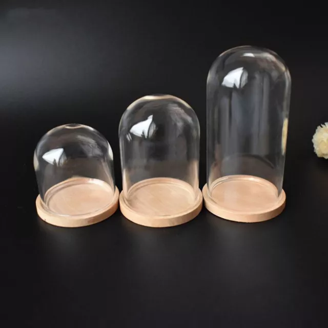 Transparent Glass Display Bell Jar Miniature Dollhouse Doll Handmade Decor DIY