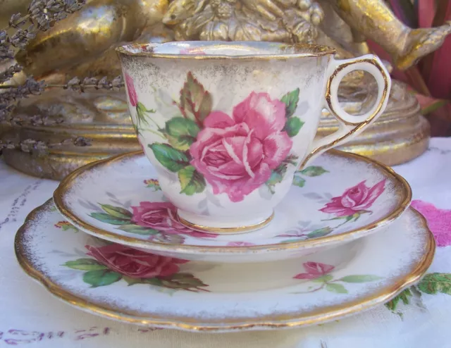 Vintage Royal Stafford Tea Trio  Cup Saucer Plate Shabby Pink Berkeley Rose