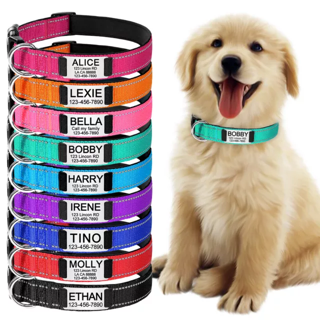 Collare Cane Personalizzato Riflettente per Cani di Piccola Media Grande Etichetta Nome Incisa