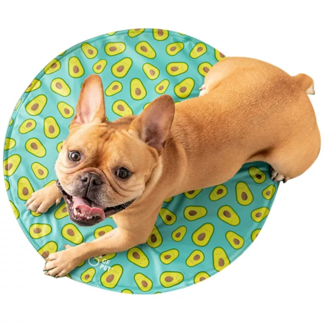 GF PET Elastofit Rond Tapis de Refroidissement pour Chiens et Chats - Bleu -