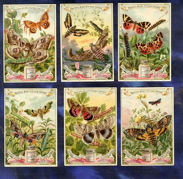 Serie 6 chromos Liebig S555 Farfalle Notturne Papillon Nocturne Moths Sphinx