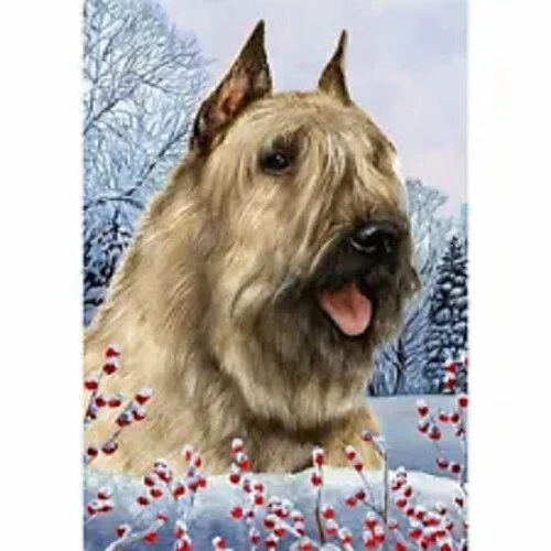 Winter House Flag - Fawn Bouvier des Flandres 15413