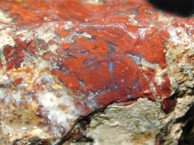 red Filament Plume Agate lapidary cabbing rough chunk San Carlos Mexico 3 lb