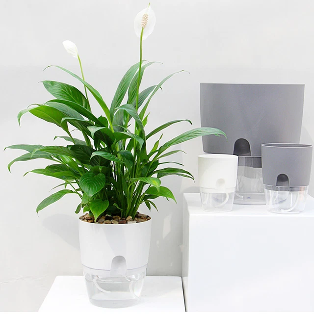 2 Layer ABS Flowerpot Self Watering Plant Container w/Water Tank (10.5cm) 8