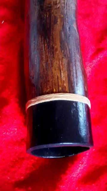 Didgeridoo artigianale in legno di Agave tonalità (DO 64Hz) ACC.432Hz C - 2020 3