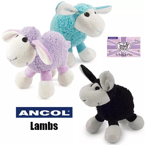 Ancol Cute Plush Lamb Soft Cuddly Comforter Puppy Small Dog Lilac Blue Black