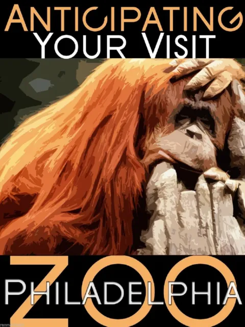 96692 Philadelphia Pennsylvania Zoo Orangutan United Decor Wall Print Poster