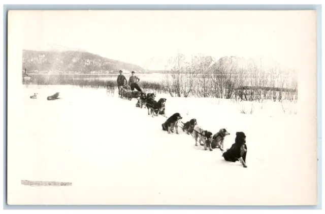 Dog Sled Team Postcard RPPC Photo Winter Scene c1950's Unposted Vintage