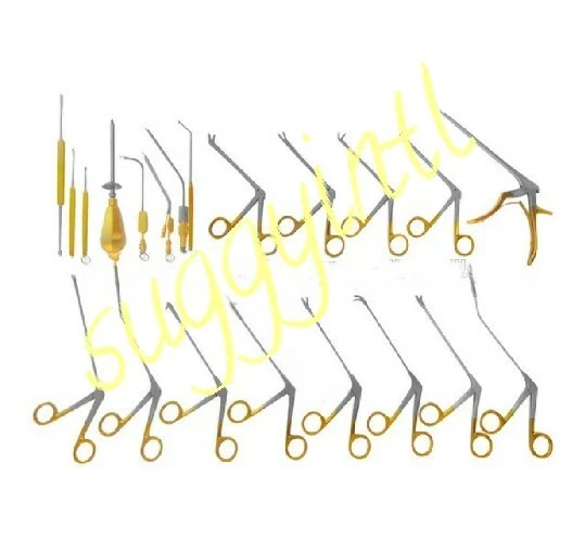 Set Complet D'instruments Chirurgicaux FESS Pour Sinus (30 Pièces) - Neuf, Pour Chirurgie Endoscopique ORL