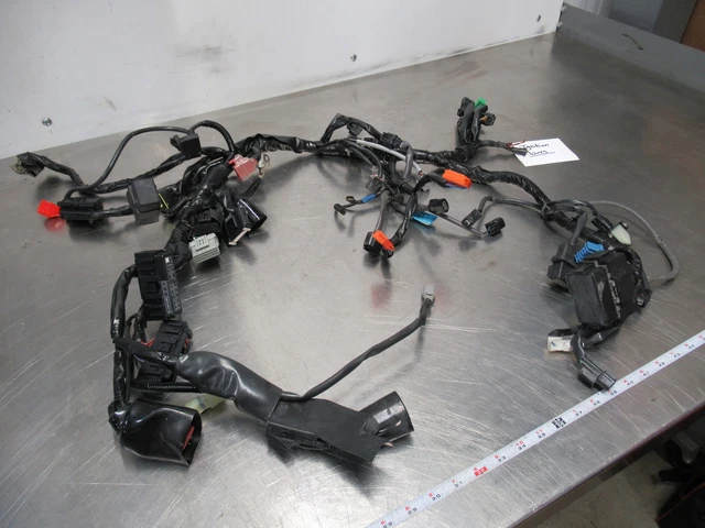 Eb922 2019 19 Honda Cb500X Cb 500 Main Wiring Harness
