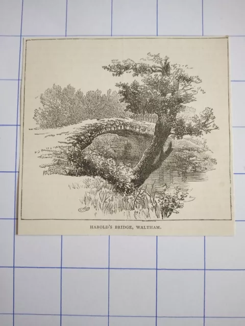 Harold's bridge Waltham England illustration 1891