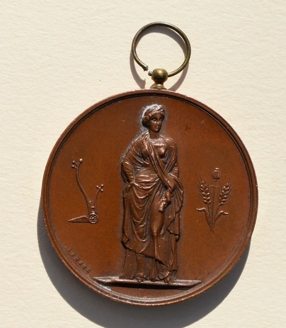 Médaille Poinçon bronze FERMIERE Signé RASUMNY Non attribuée vierge Médaille Poinçon bronze FERMIERE Signé RASUMNY Non attribuée vierge