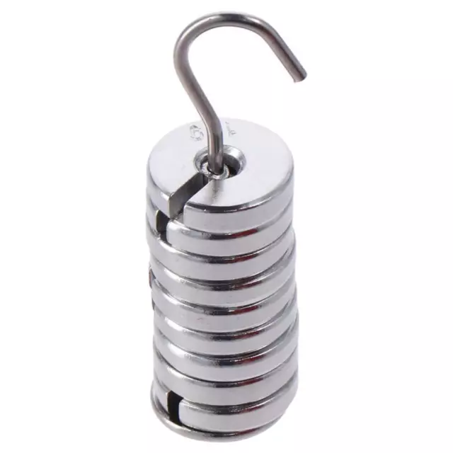 10g Each Metal Slotted Weights Chromium-Plated with Hanger and Case  Laboratory