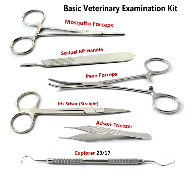 VETERINARY ANATOMY BASIC General Surgery Dissecting Dissection Kit $28. ...