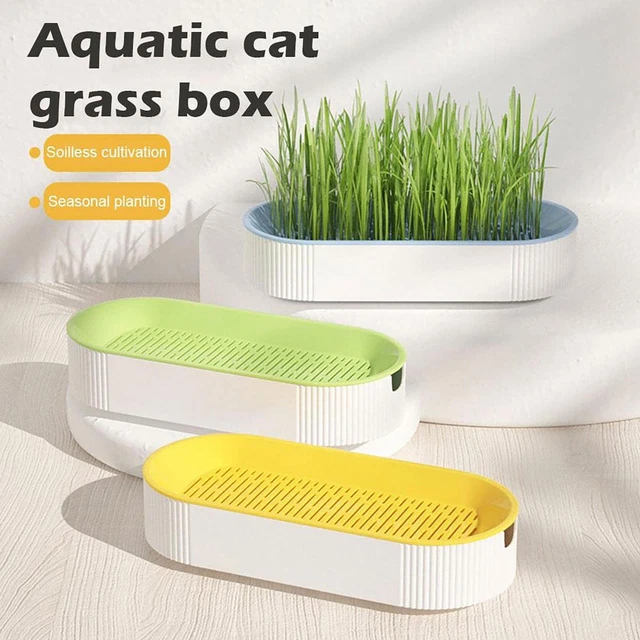 Cat Grass Planting Box Plant Growing Kit Hydroponic Cat Grass Soil-Free Planter