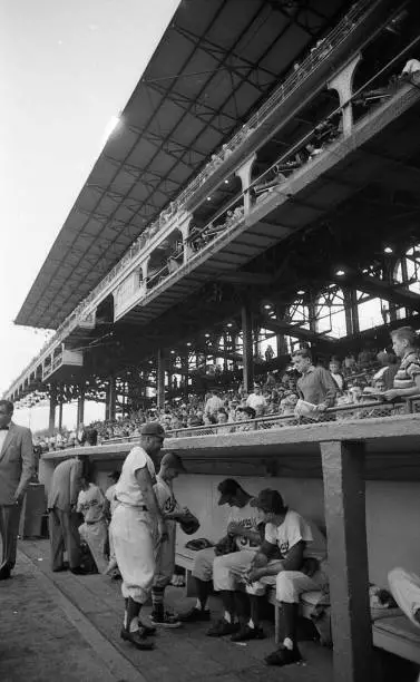 Brooklyn Dodgers Jackie Robinson sits in the dugout vs St. Louis C - Old Photo 1