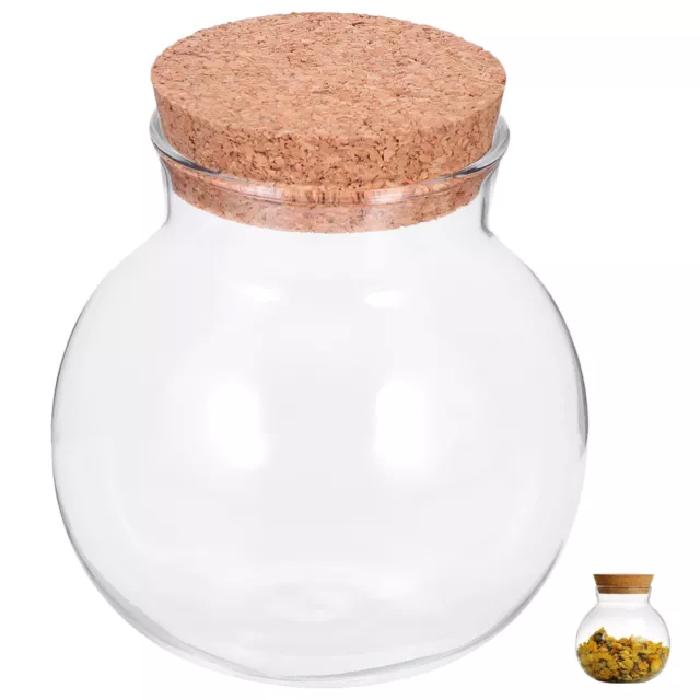 Clear Glass Jar with Cork Lid Kitchen Storage Glass Bottle Cork Jar Clear Glass