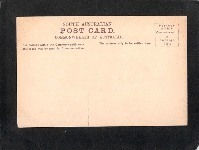 B3495 Australia SA The drive Botanic Park Adelaide vintage postcard 2