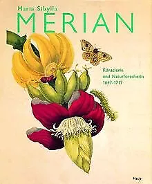 Maria Sibylla Merian. Künstlerin und Naturforscheri... | Buch | Zustand sehr gut