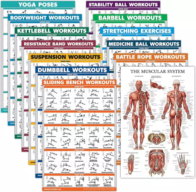 Palace Learning 13 Pack - Exercise Poster Set: Dumbbell, 18" x 24", LAMINATED