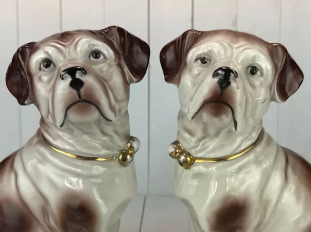 Antique Victorian Pug Dog Mantle SET Gold Gilt Bell Collar Porcelain Figurine 8"