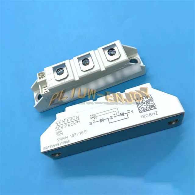 New Li Ingnew 1Pcs Skkh107/16E Module Skkh107-16E Skkh10716E #A6-12