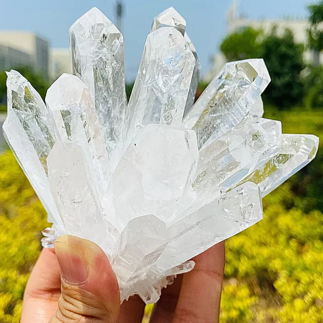 480g New Find white Phantom Quartz Crystal Cluster Mineral Specimen Healing 11