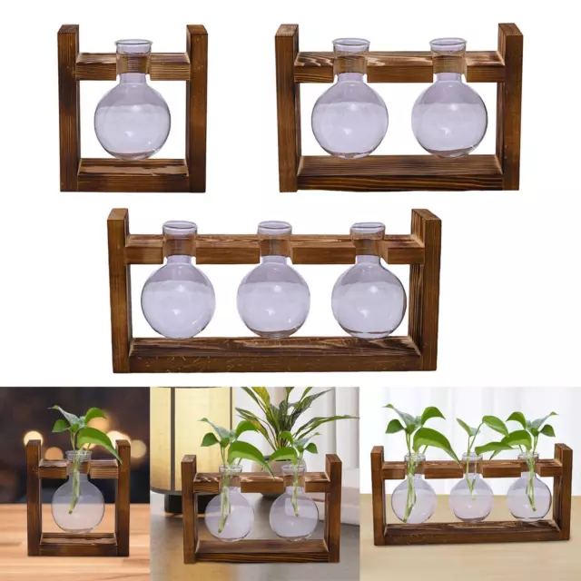 Station de propagation de plantes hydroponiques, support de plantes pour la