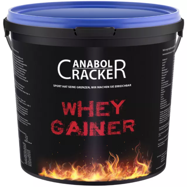 3Kg Whey Gainer Protéine Acides Aminés Poudre / Musculation Glucides Protéine