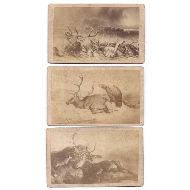 CDV 3 x Carte de Visite Photographs of Paintings of Stags