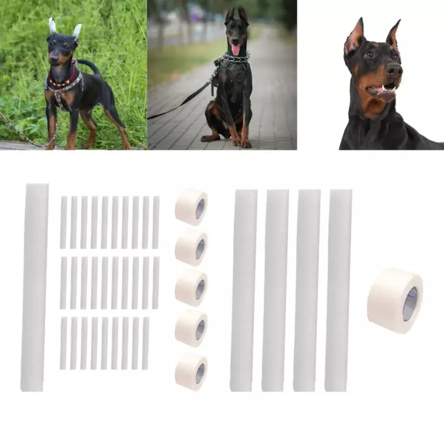 Dog Ears Support Ear Sticker Horse Dog Ears Fixed Correction Vertical Holder