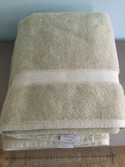 https://www.picclickimg.com/iBcAAOSwNEVi8n47/Threshold-Performance-Bath-Towel-Set-Of-2-Sage.webp