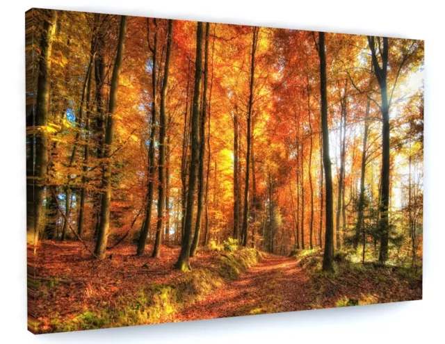 Autumn Trees Leaves Canvas Picture Print Wall Art Chunky Frame Large
