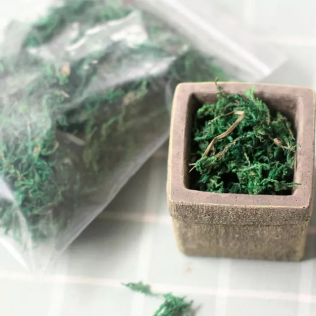5 paquetes de maceta artificial musgo hierba verde decoración 3