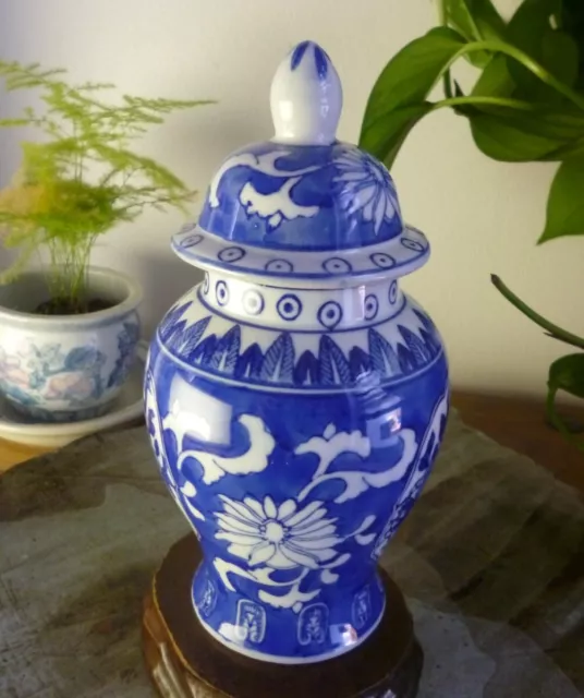 Chinese Blue White Porcelain Vase / Urn / Jar Hand Painted