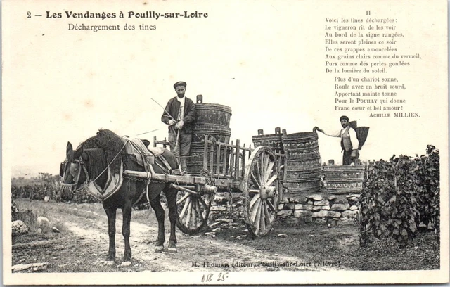 58 POUILLY SUR LOIRE - les vendanges - dechargement des tines